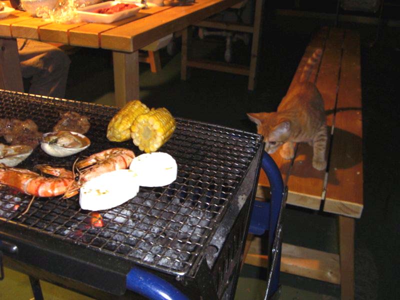 BBQ%20002.jpg